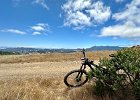 IMG 3948