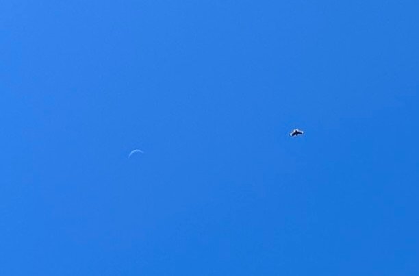 IMG 3993