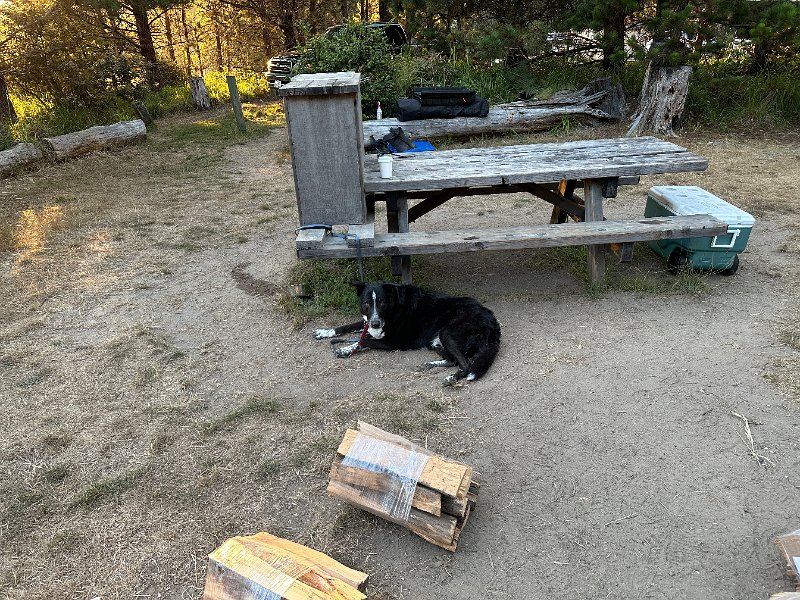 IMG 4161