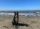 IMG 4147
