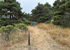 IMG 4175