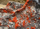 IMG 4215