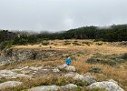 IMG 4223