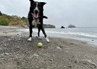 IMG 4240