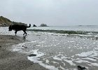 IMG 4248