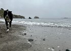 IMG 4250