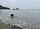 IMG 4253