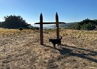 IMG 4259
