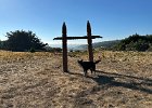 IMG 4260