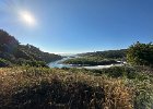 IMG 4262