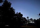 IMG 4280  ISS just disappearing into the trees. Scorpius visible in the twilight.