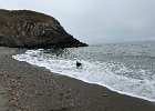 IMG 4291