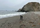 IMG 4293
