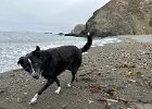 IMG 4297