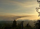 IMG 4391