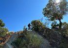 IMG 4567