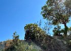 IMG 4569