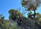 IMG 4572