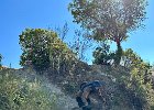 IMG 4573