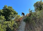 IMG 4595