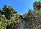 IMG 4596