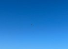 IMG 4601  A kite.