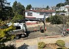 IMG 4627