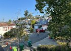 IMG 4640
