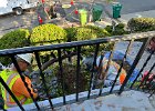 IMG 4642