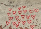 IMG 4758
