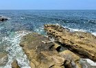 IMG 4795
