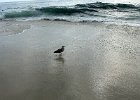 IMG 4854