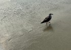 IMG 4858