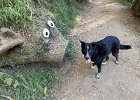 IMG 4967