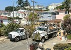 IMG 5002