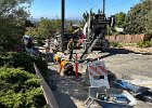 IMG 5161