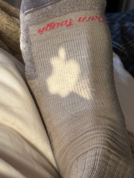 IMG 5235