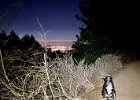 IMG 5605  Headlamp makes it a bit easier to include Koba in the photo. I don't think he liked the light though.