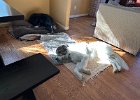 IMG 5697