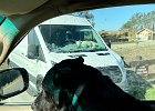 IMG 5740  Check out little van-life doggo sunning in the background.