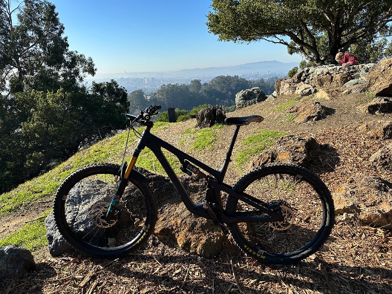 IMG 5908