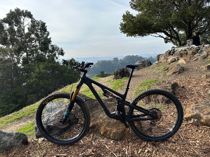 IMG 5934