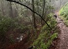 IMG 6294