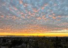 IMG 6323