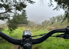 IMG 6646  Wet. [This trail is called The Rut, and this is probably the worst time to try and ride it.]