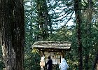 IMG 6670