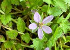 IMG 6731