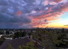 IMG 6833