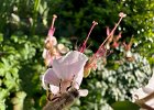 IMG 7019