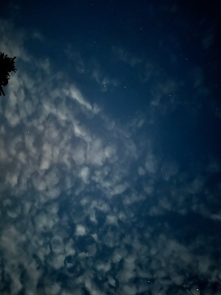 IMG 7221